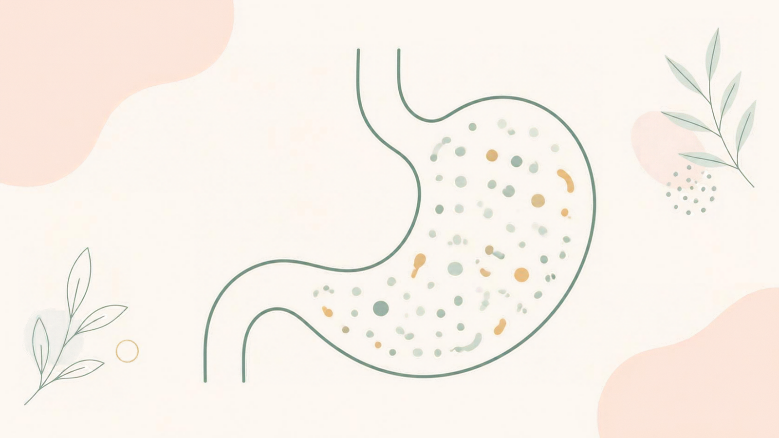 Minimalist illustration of abstract gut flora as small dot clusters inside a line-art stomach shape